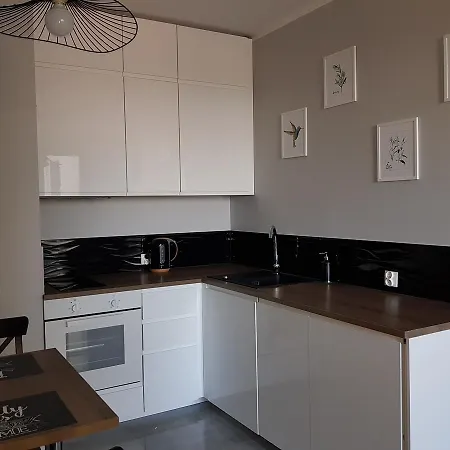 Amistik Tower Apartment *